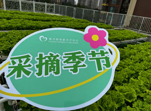 成都月子中心農(nóng)場主|共享菜地，開啟有機坐月子生活